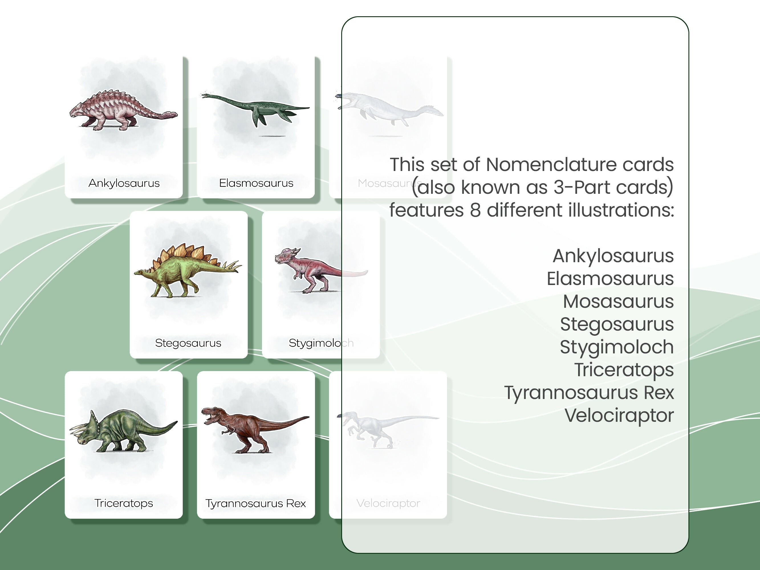 Nomenclature Cards Set - Illustrated Dinosaurs
