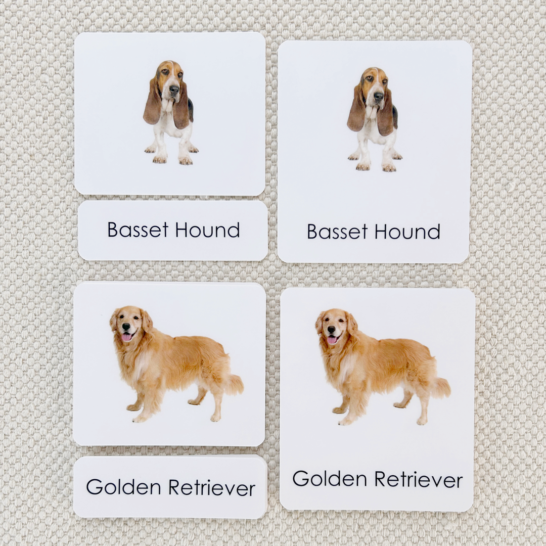 Dogs 3-Part Reading