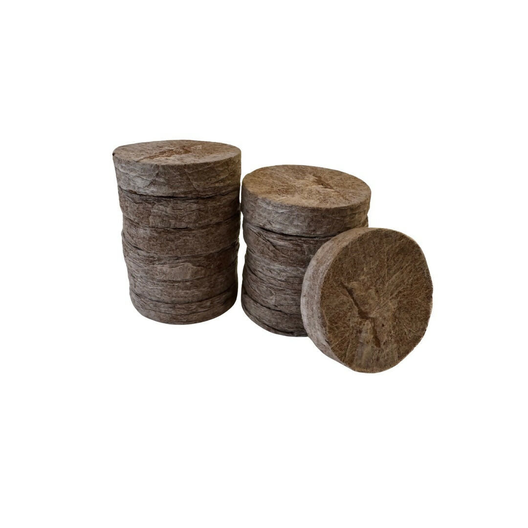 Seedling Starter Kit - Montessori Leaf Shapes