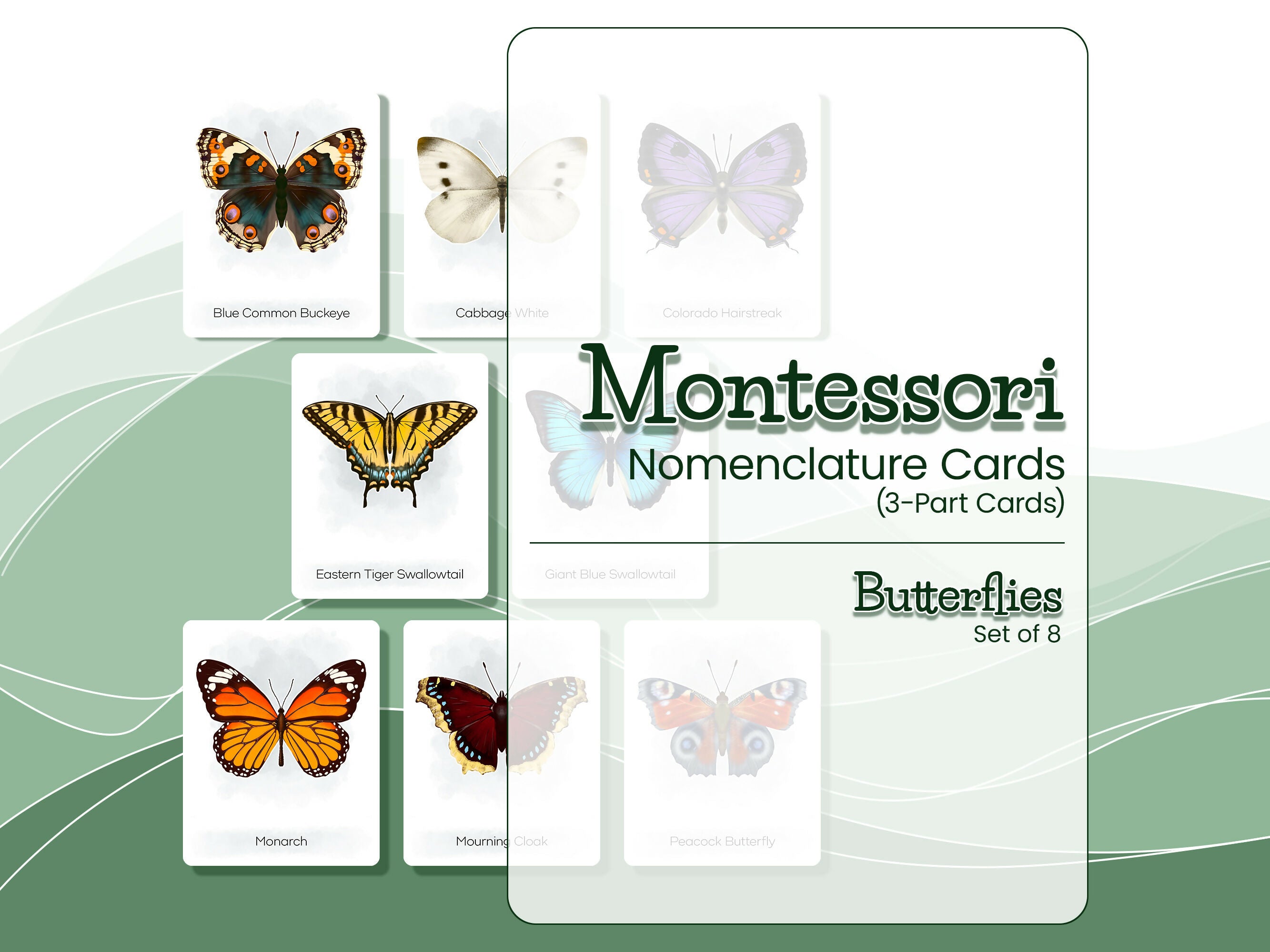 Nomenclature Cards Set - Illustrated Butterflies
