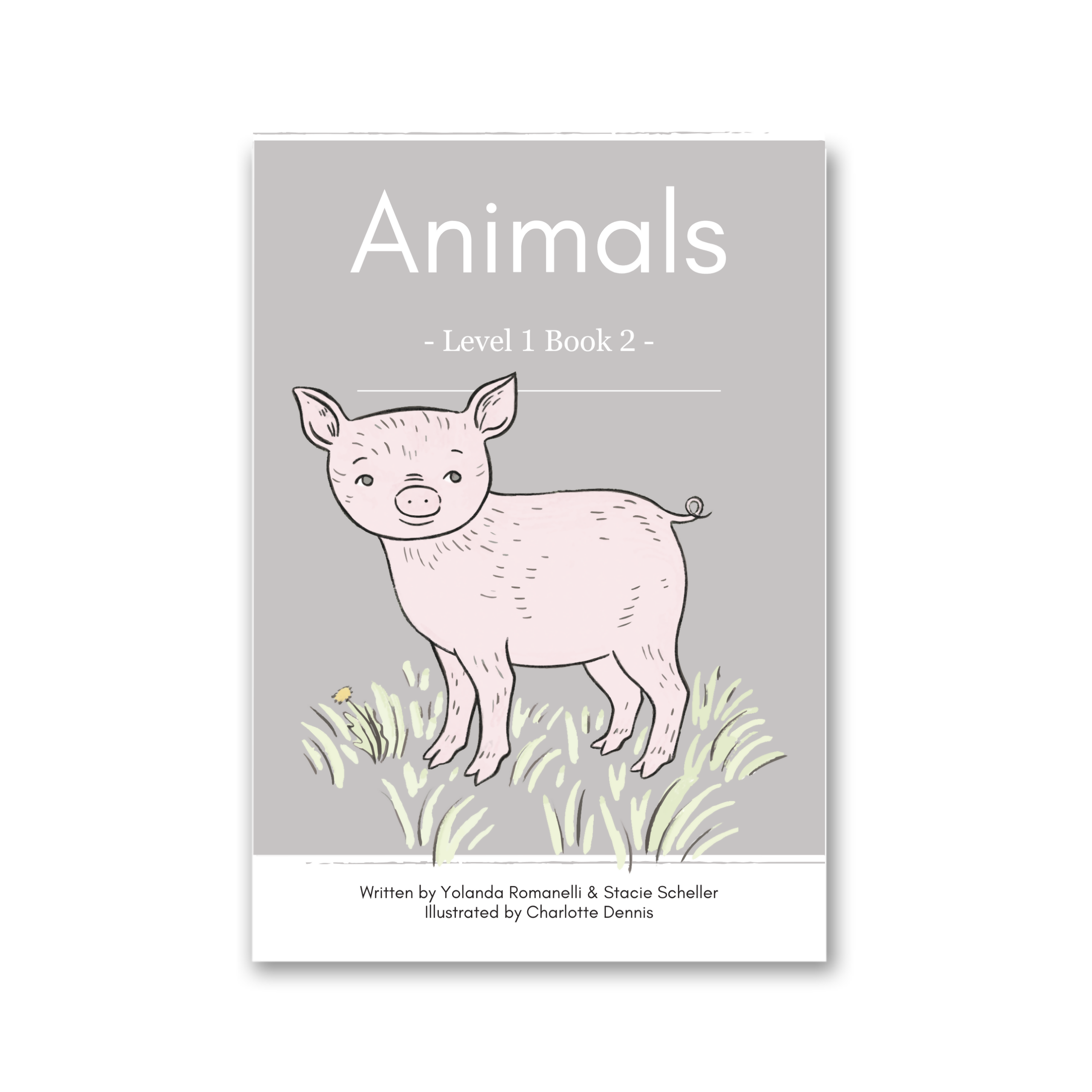 Level 1: Six Decodable Books