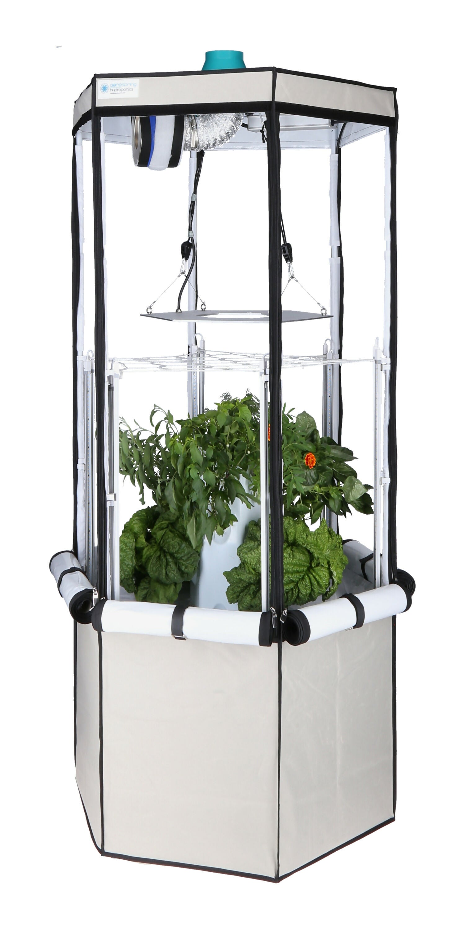 9-Plant Indoor Hydroponic System