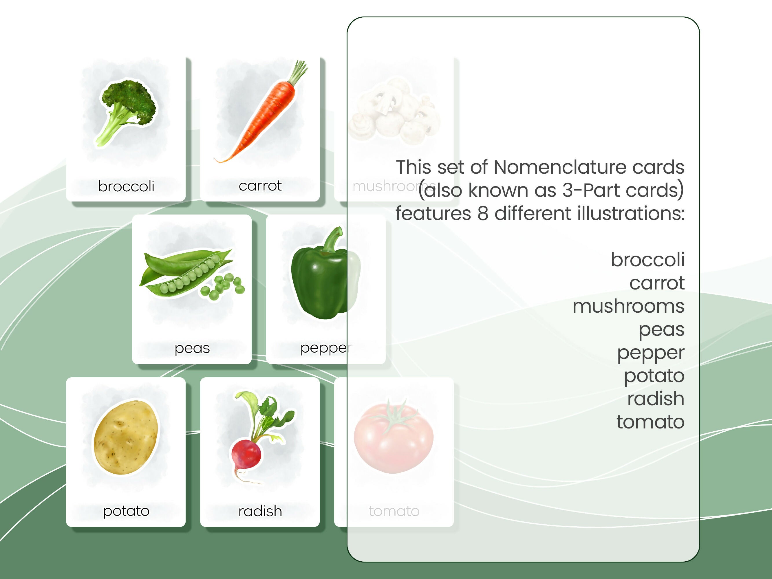 Nomenclature Cards Set - Illustrated Vegetables