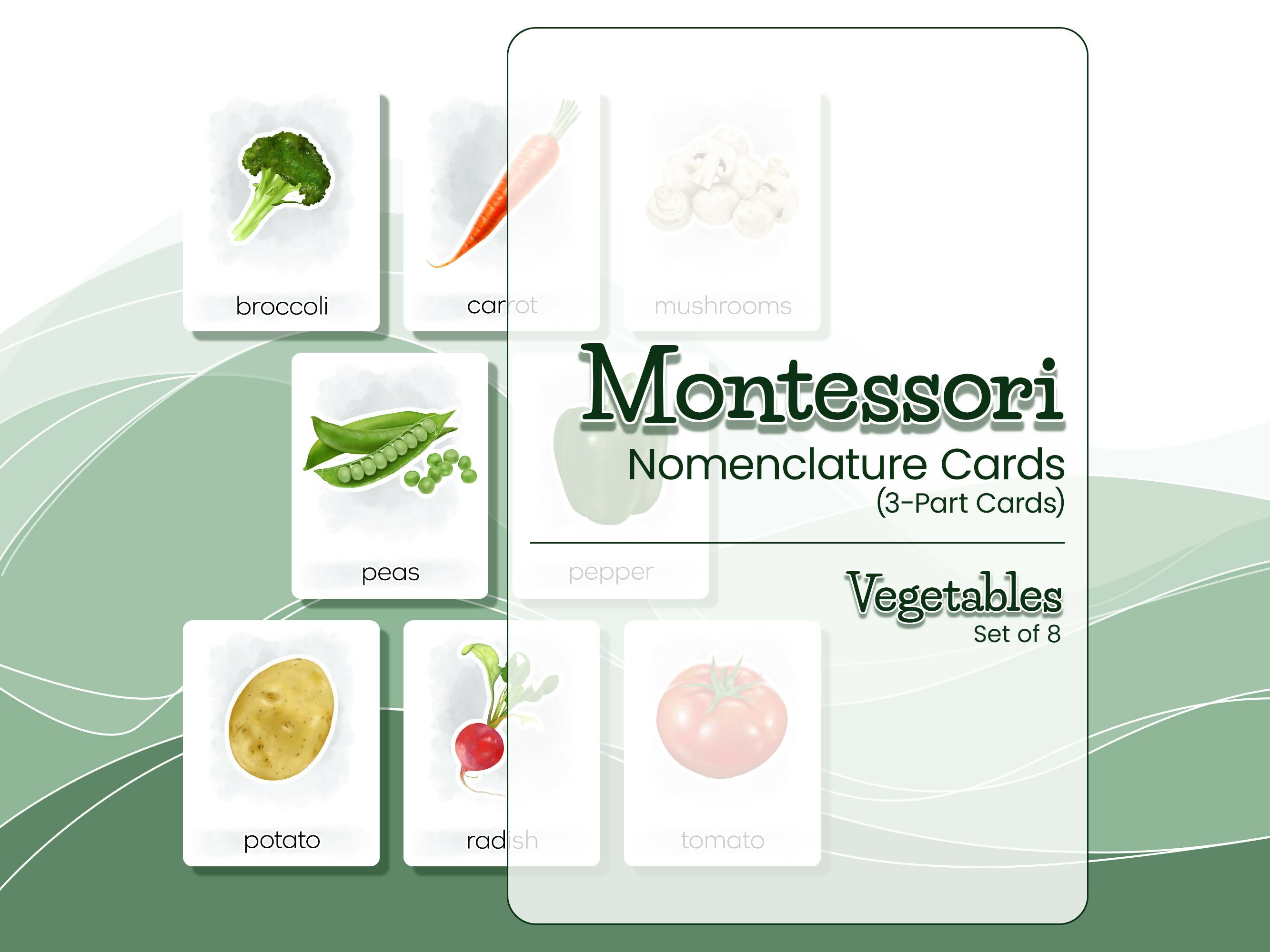 Nomenclature Cards Set - Illustrated Vegetables