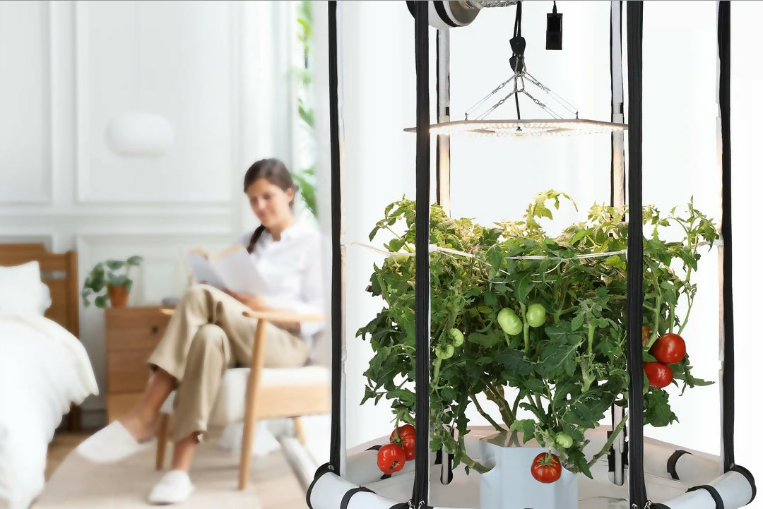 9-Plant Indoor Hydroponic System