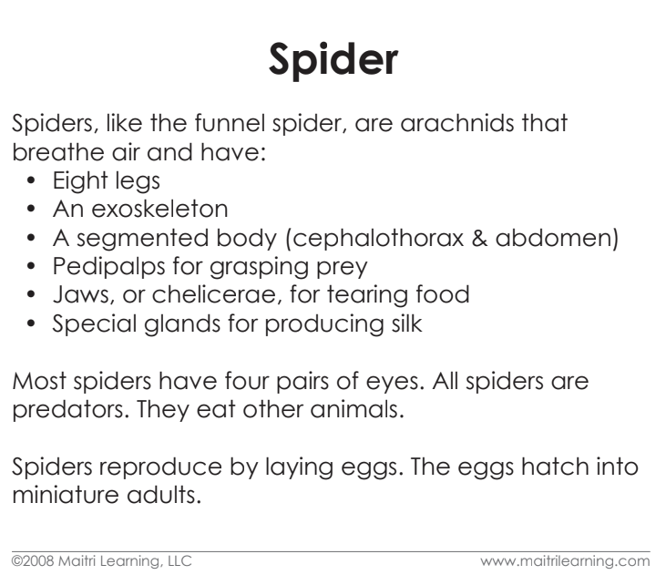 Parts of the Spider Definitions