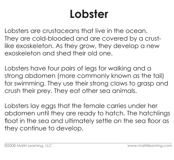 Parts of the Lobster Book