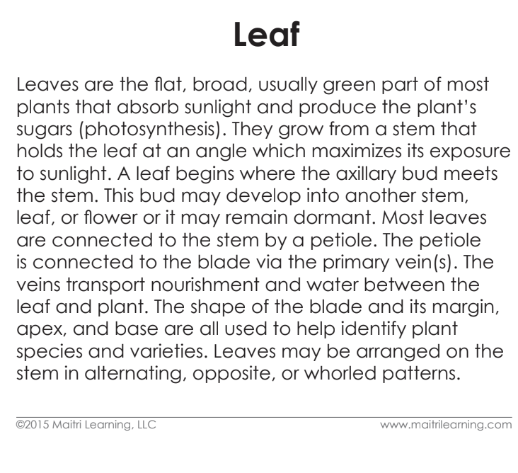 Parts of the Leaf Book