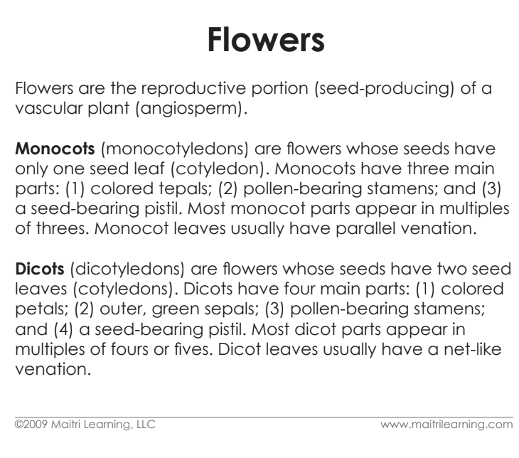 Parts of the Flower (Dicot) Definitions