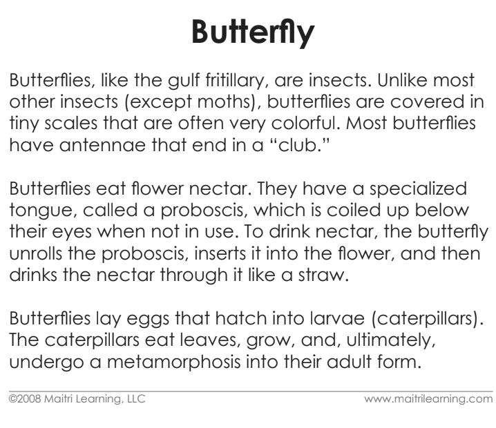 Parts of the Butterfly Book