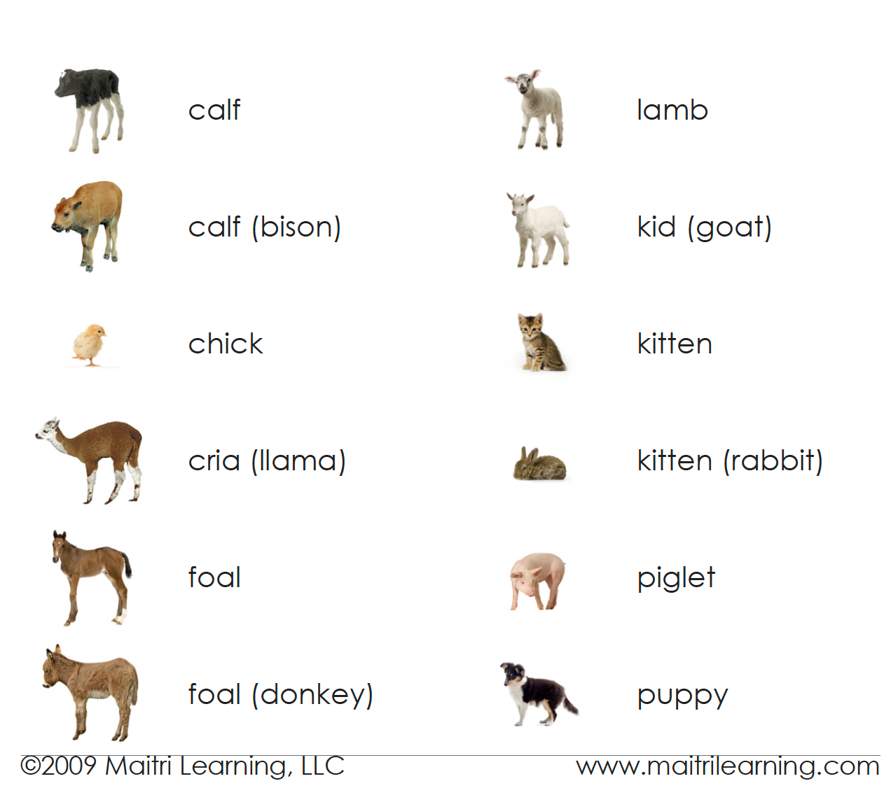 Farm Animals (Juvenile) Matching