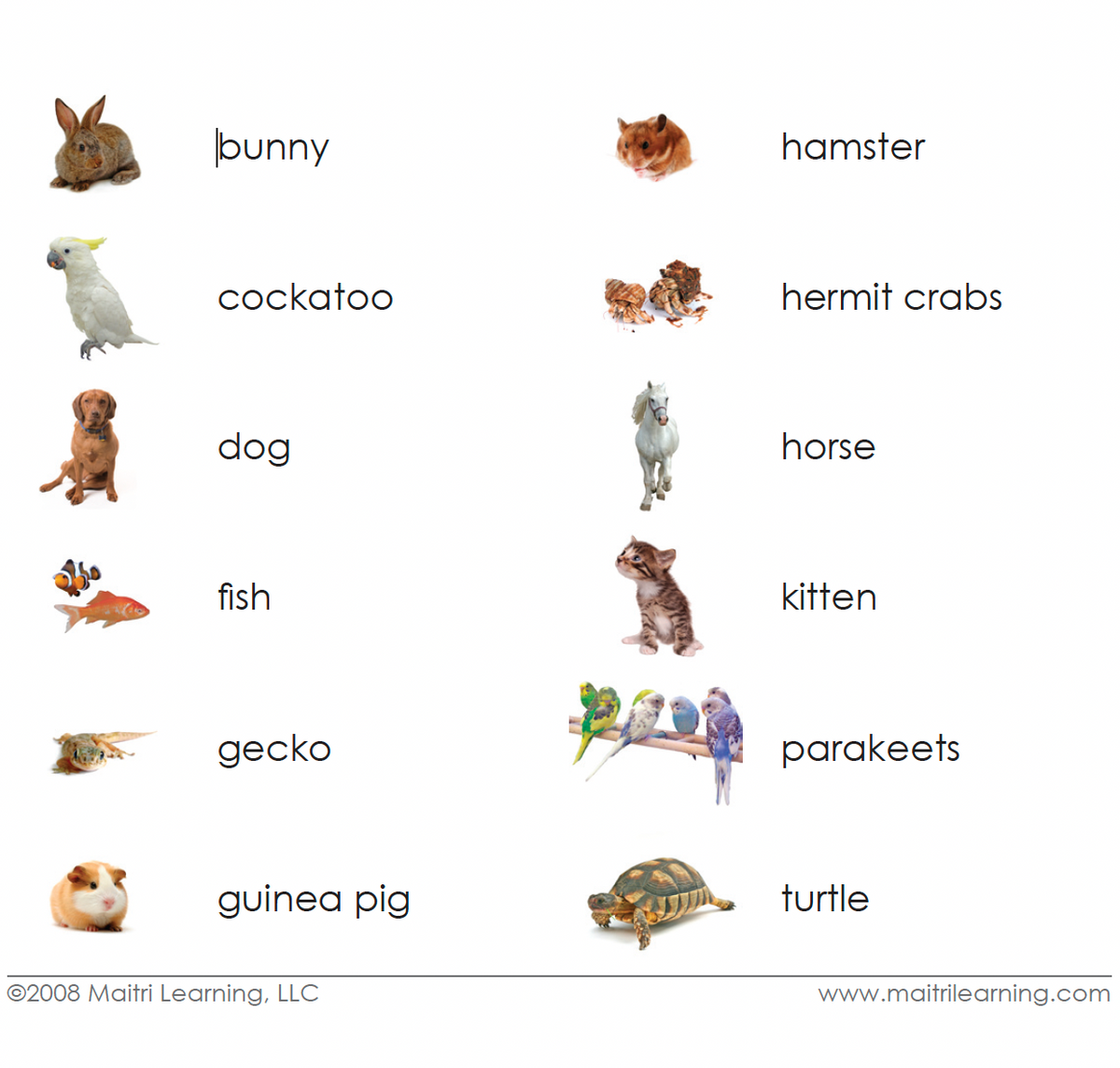 Pets Vocabulary