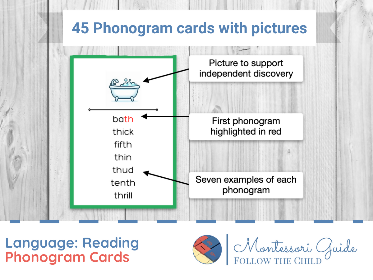 Phonogram Cards