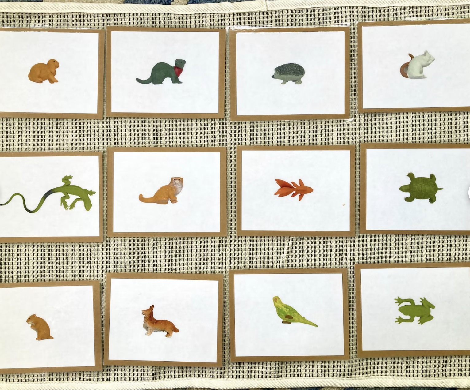 Exact Matching Language Objects and Digital PDF Cards - Pets - Montessori Toddler Activity for Vocabulary development