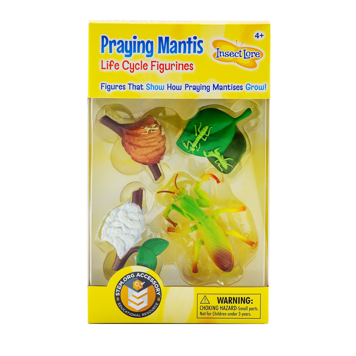 Praying Mantis Life Cycle Figures (4-Piece Set)