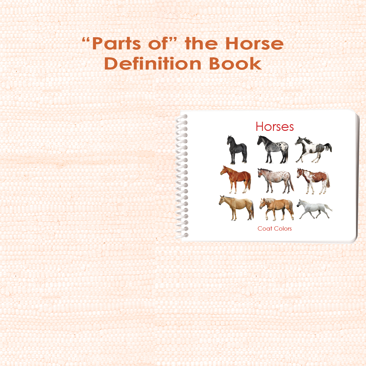 Horses (Coat Colors) Book & Card Set