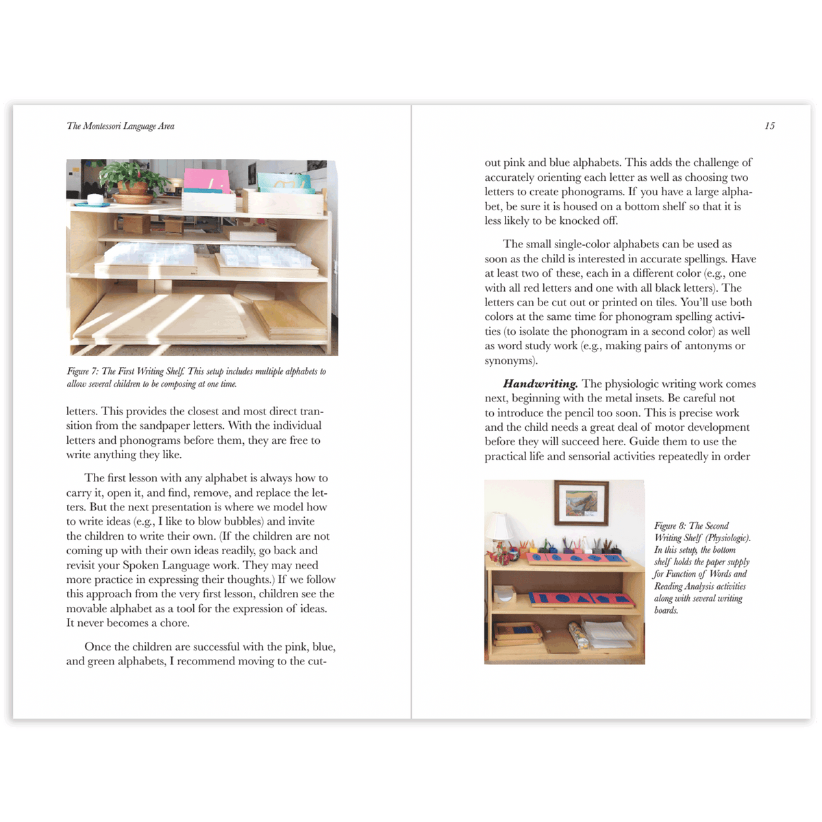 Setting up the Language Area (Paperback)