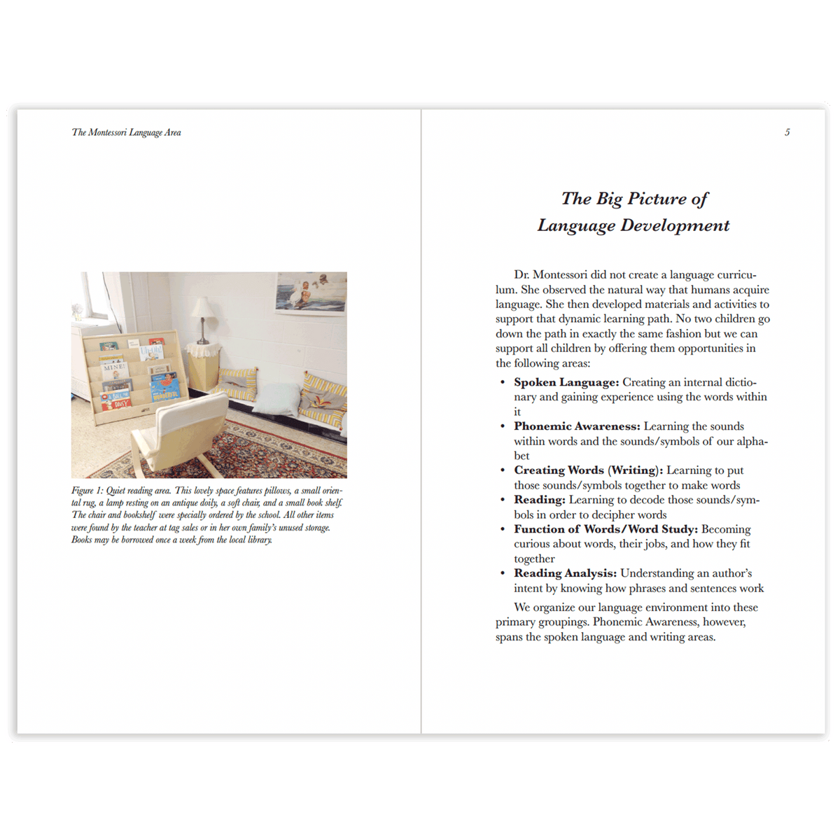 Setting up the Language Area (Paperback)