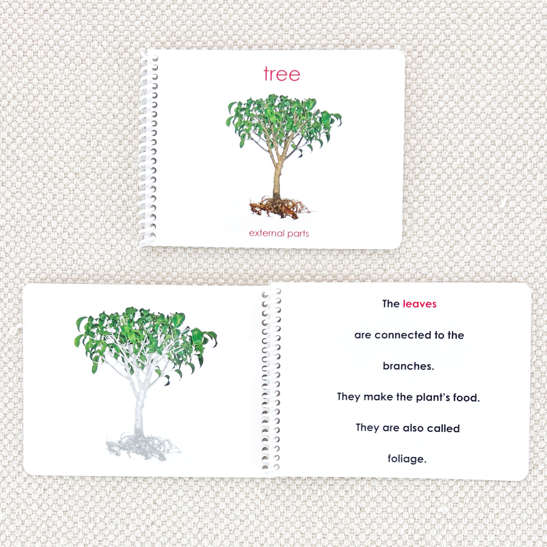 Parts of the Tree Book & Card Set