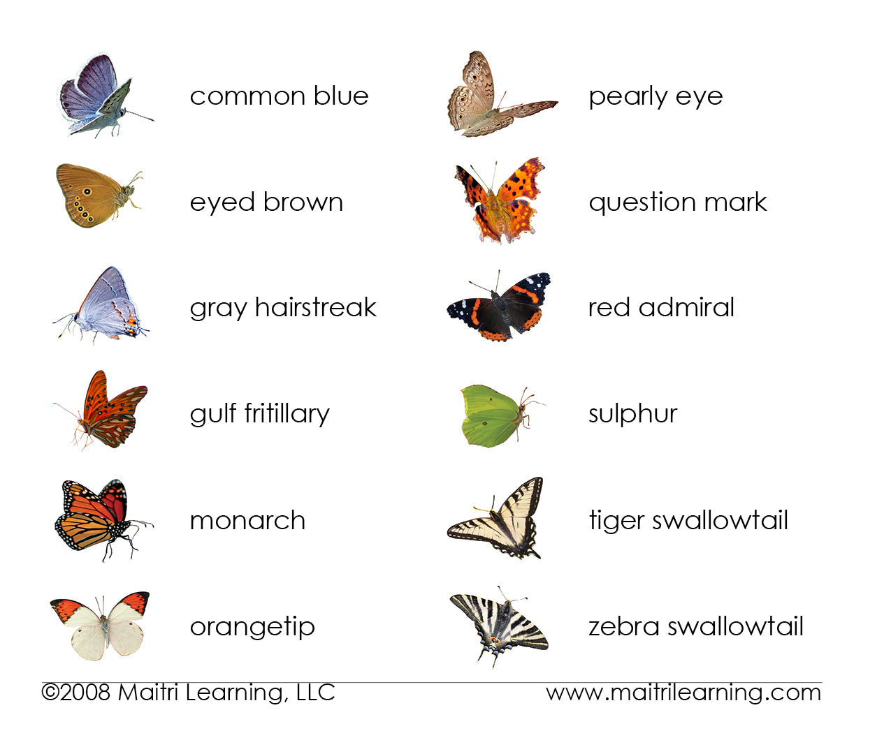 Butterflies Matching