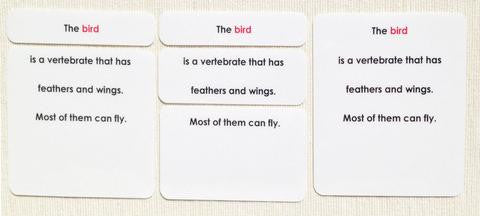 Vertebrates Definition Card Set
