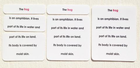 Vertebrates Definition Card Set