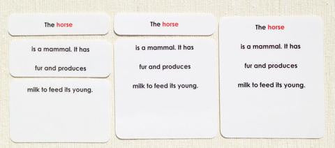 Vertebrates Definition Card Set