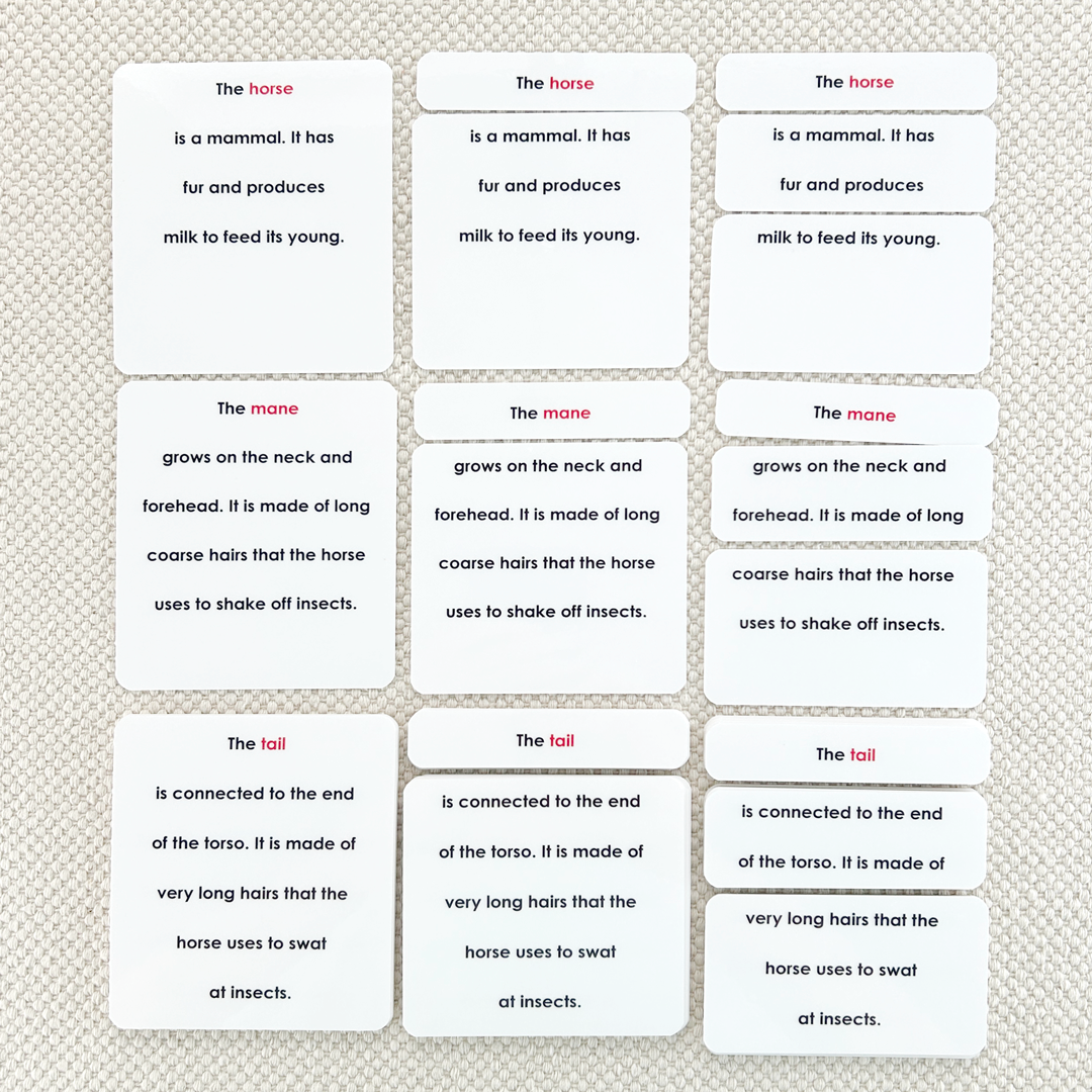 Parts of the Horse Book & Card Set