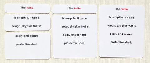 Vertebrates Definition Card Set
