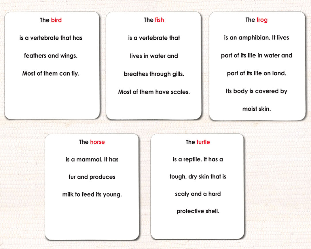 Vertebrates Definition Card Set