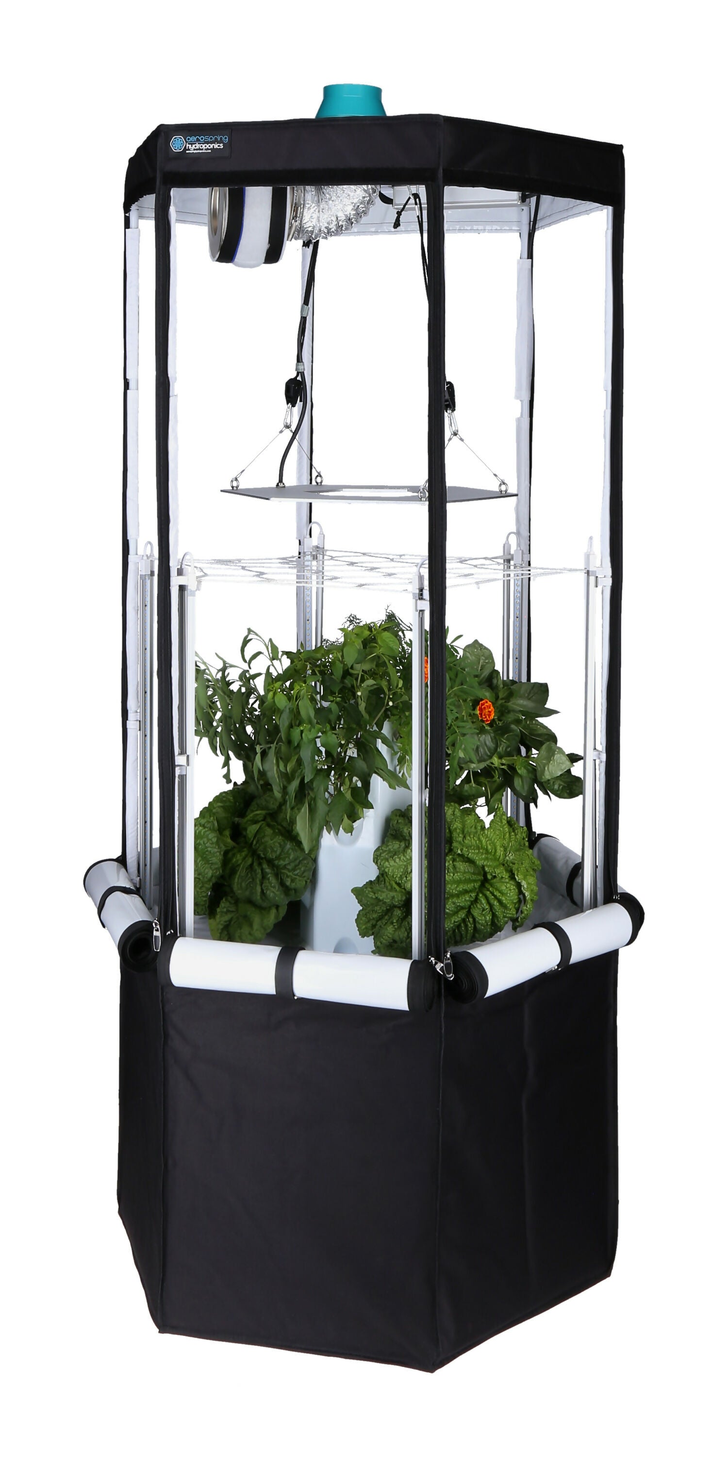 9-Plant Indoor Hydroponic System