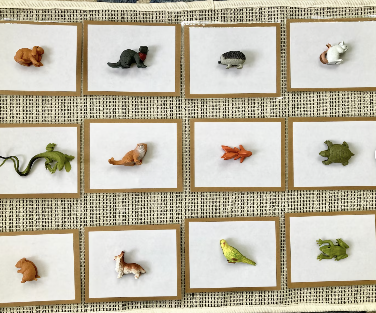 Exact Matching Language Objects and Digital PDF Cards - Pets - Montessori Toddler Activity for Vocabulary development