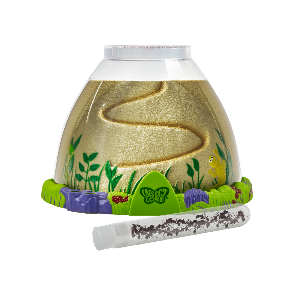 Ant Hill Tunnelling Kit with LIVE Tubes of Harvester Ants