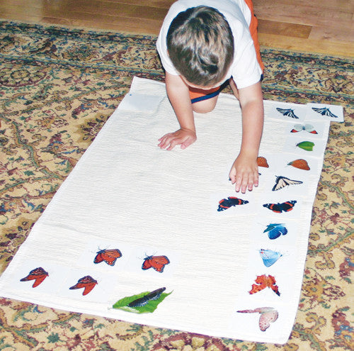 Butterflies Matching