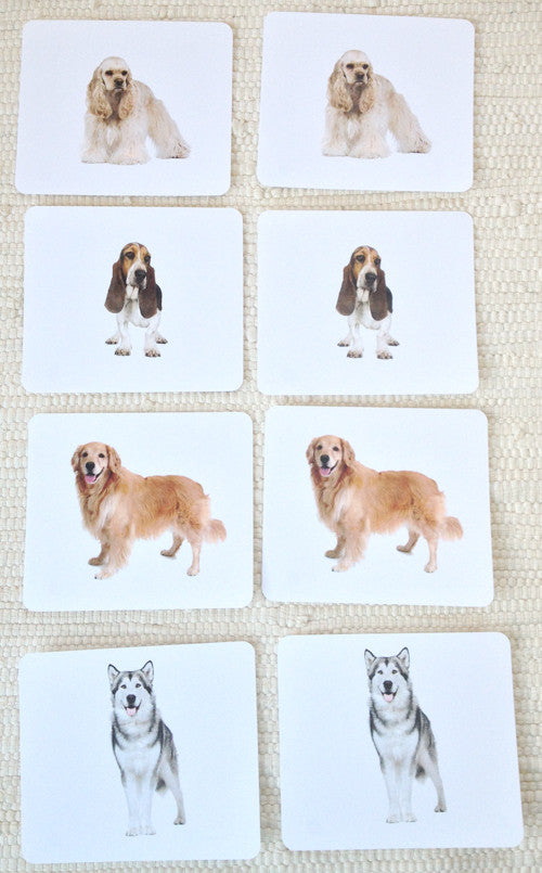 Dogs Matching