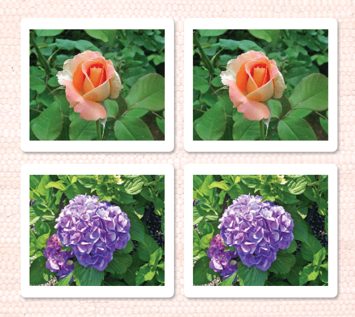 Garden Flowers Matching