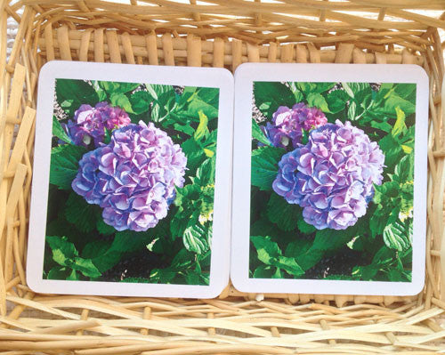 Garden Flowers Matching