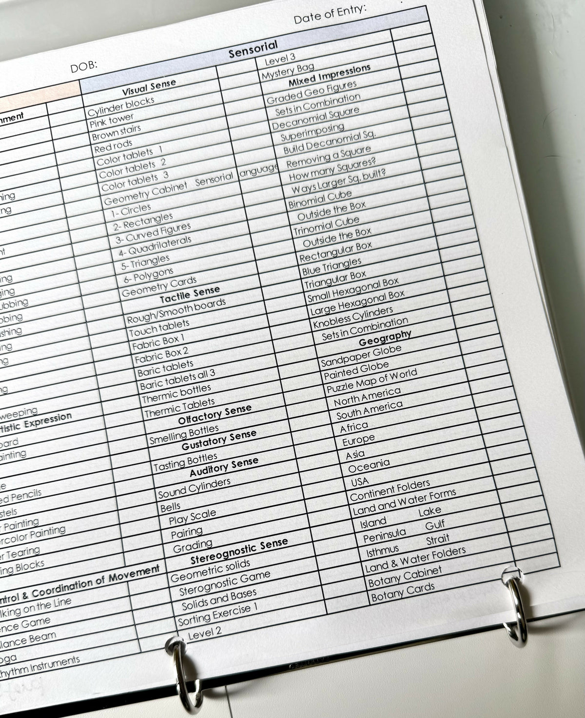 Three to Six Record Keeping and Lesson Planning Checklist, Editable Excel Template.