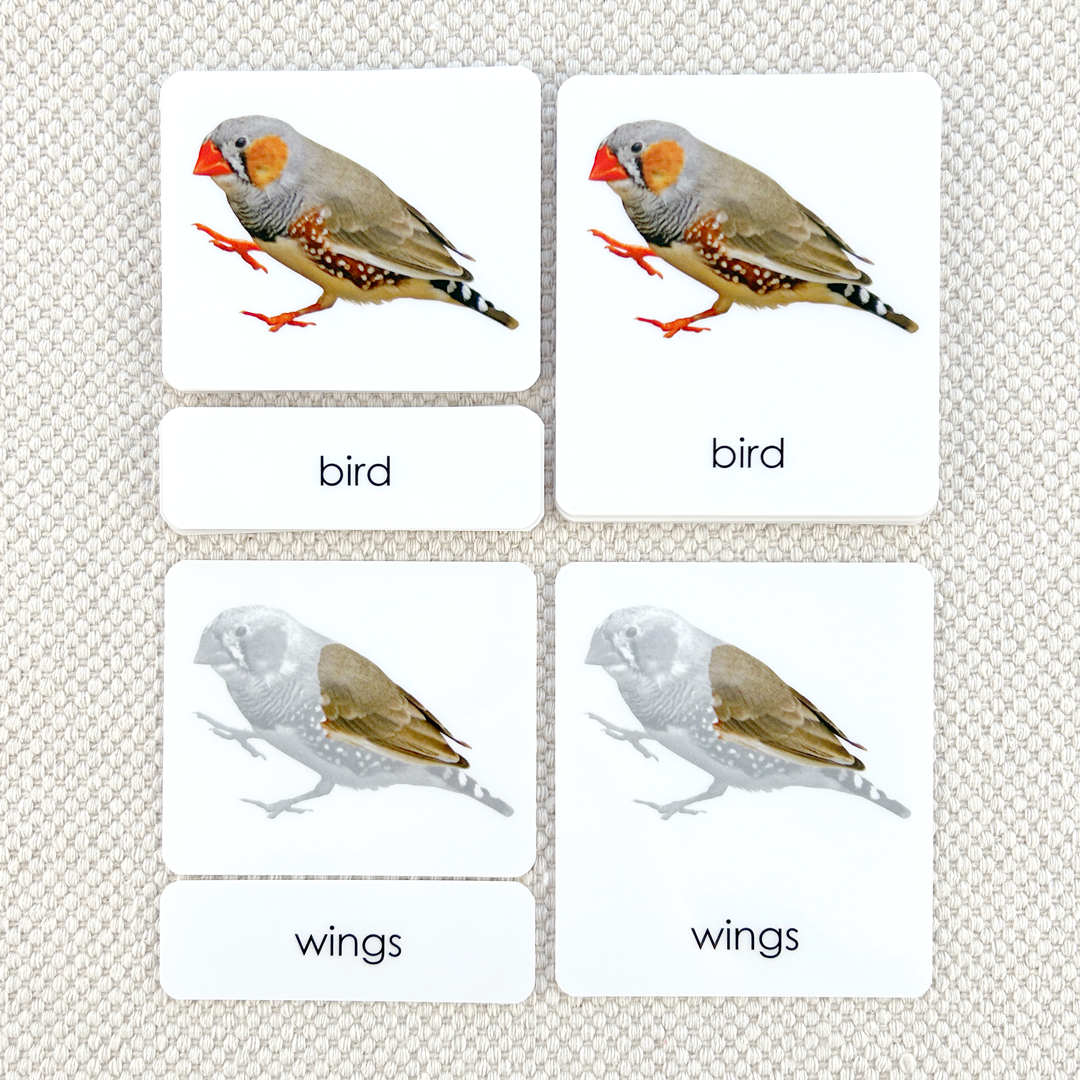 Vertebrates