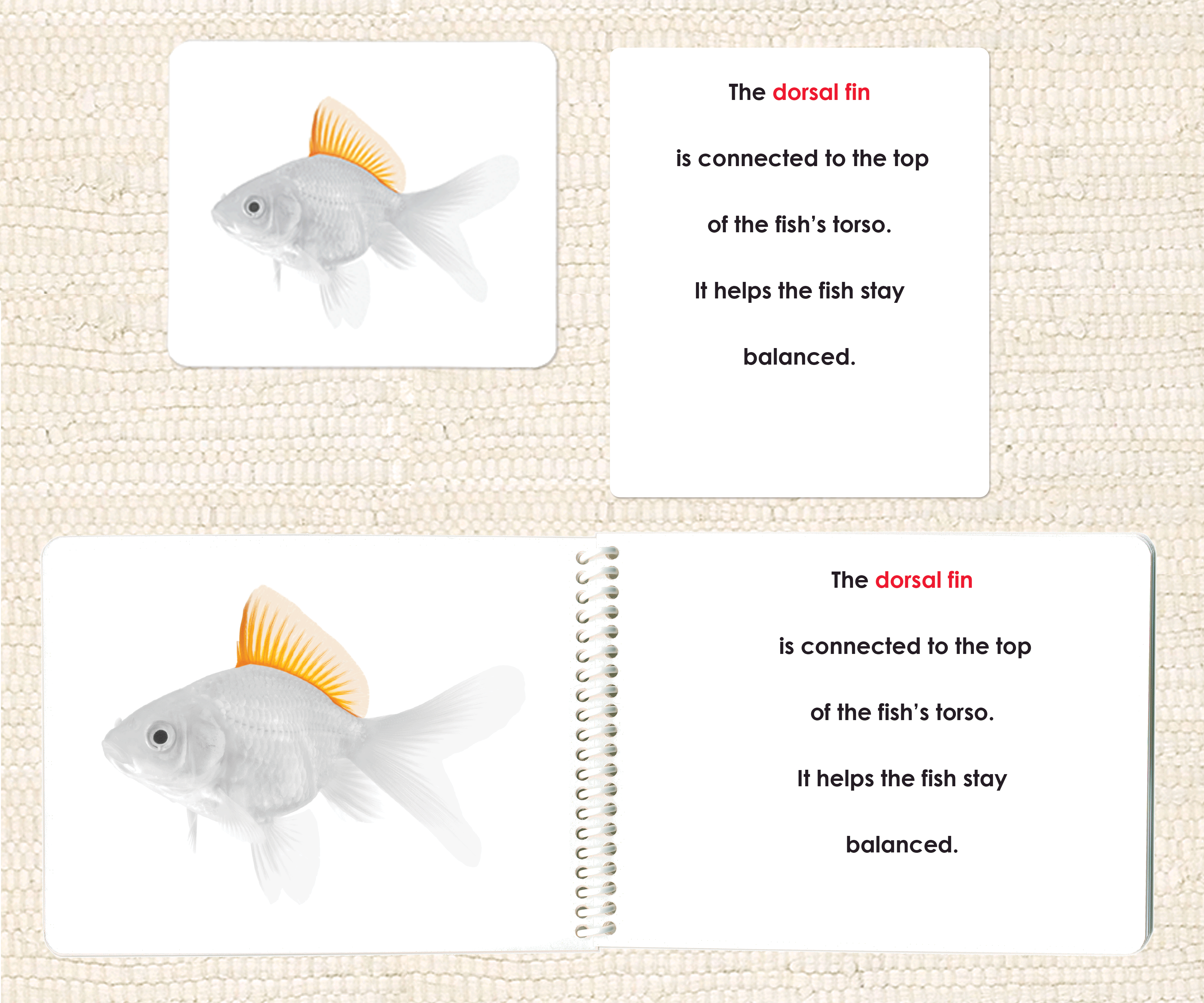 Parts of the Fish Book & Card Set