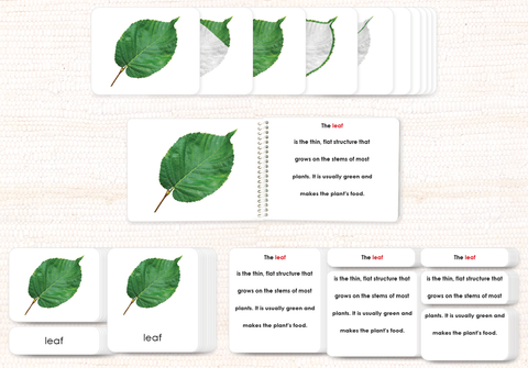 Botany Build-a-Book Bundle