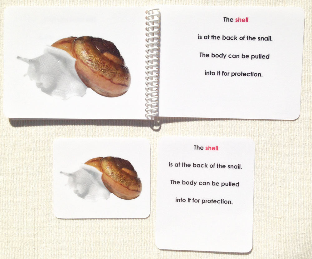 Parts of the Snail Book & Card Set