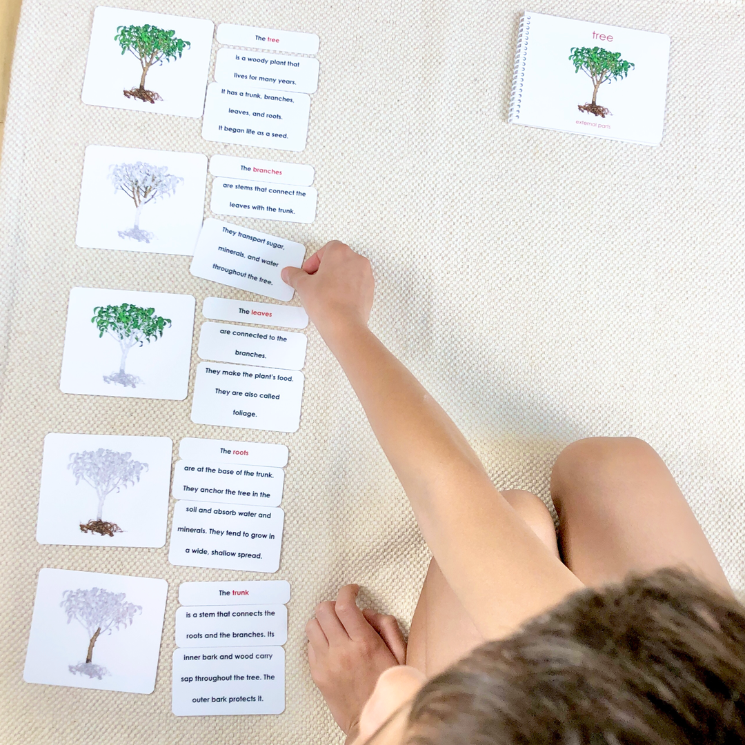 Parts of the Tree Book & Card Set