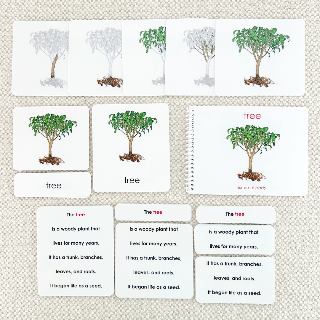 Parts of the Tree Book & Card Set