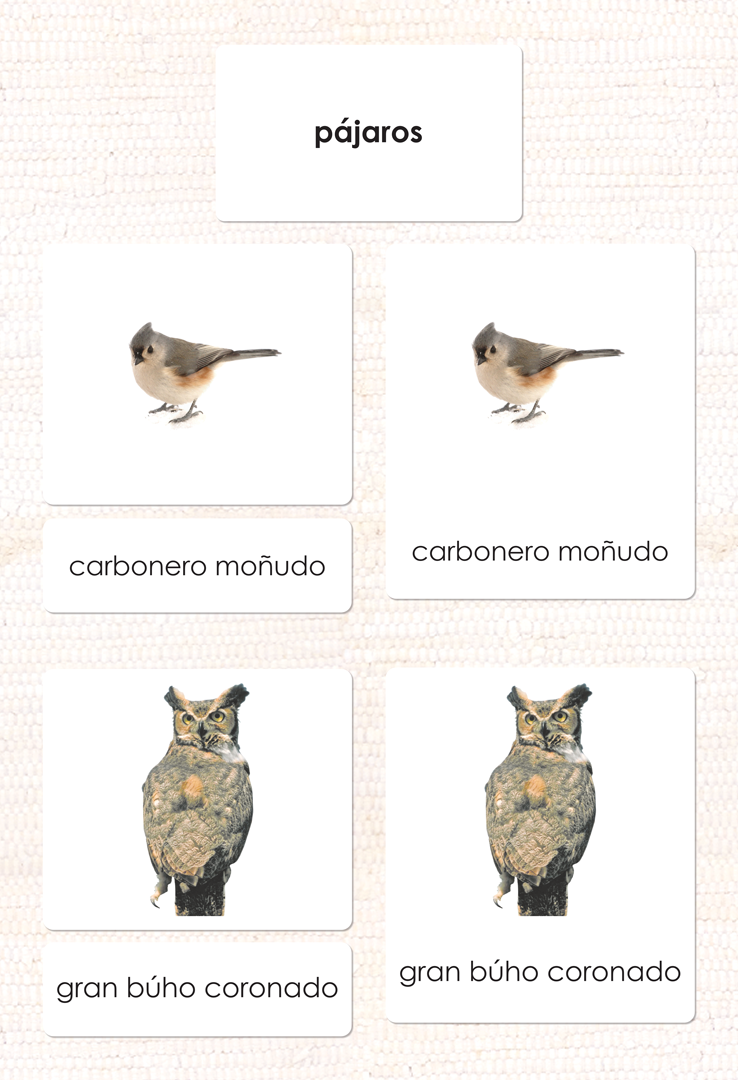 Spanish Birds 3-Part Cards
