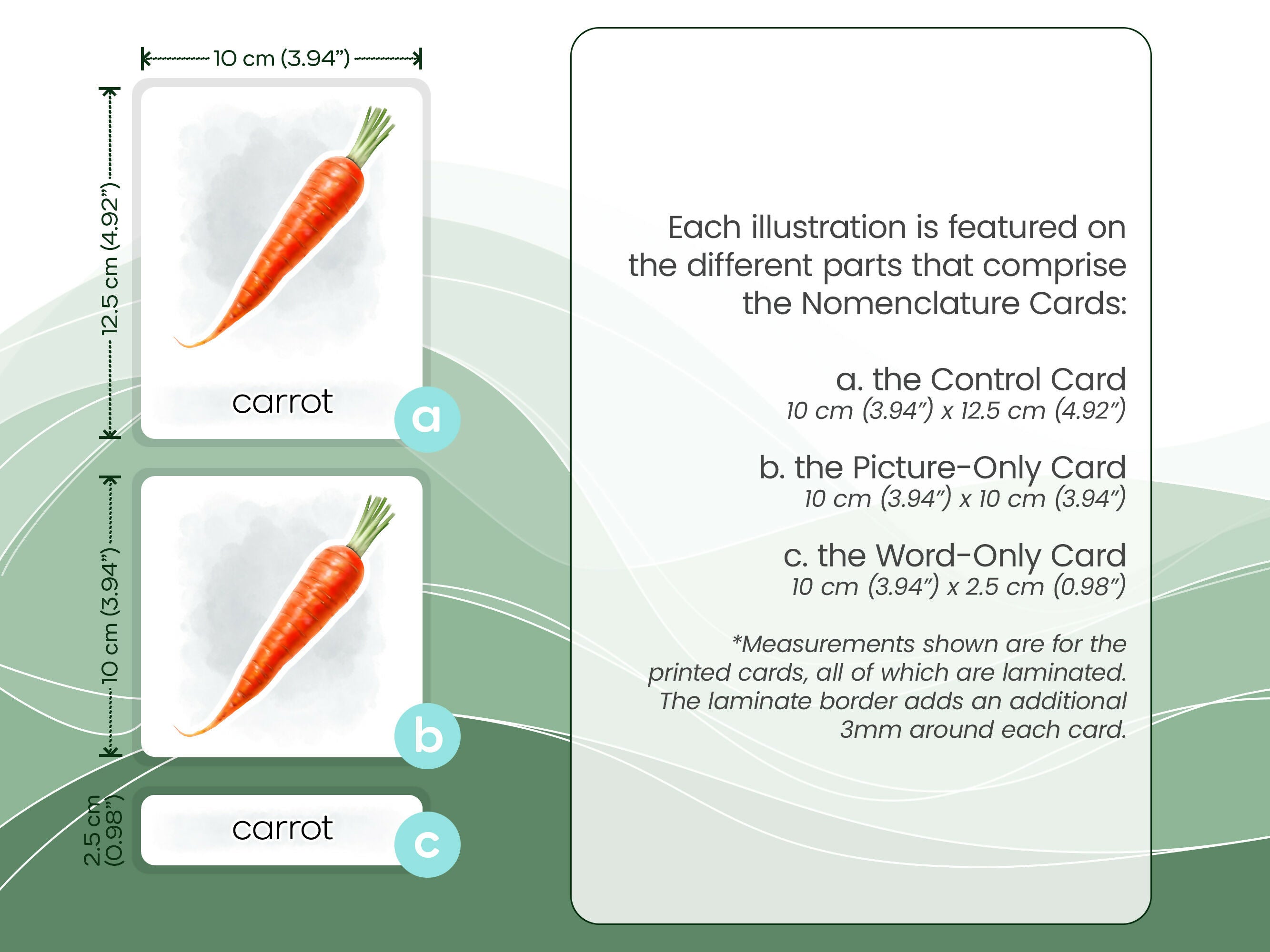 Nomenclature Cards Set - Illustrated Vegetables