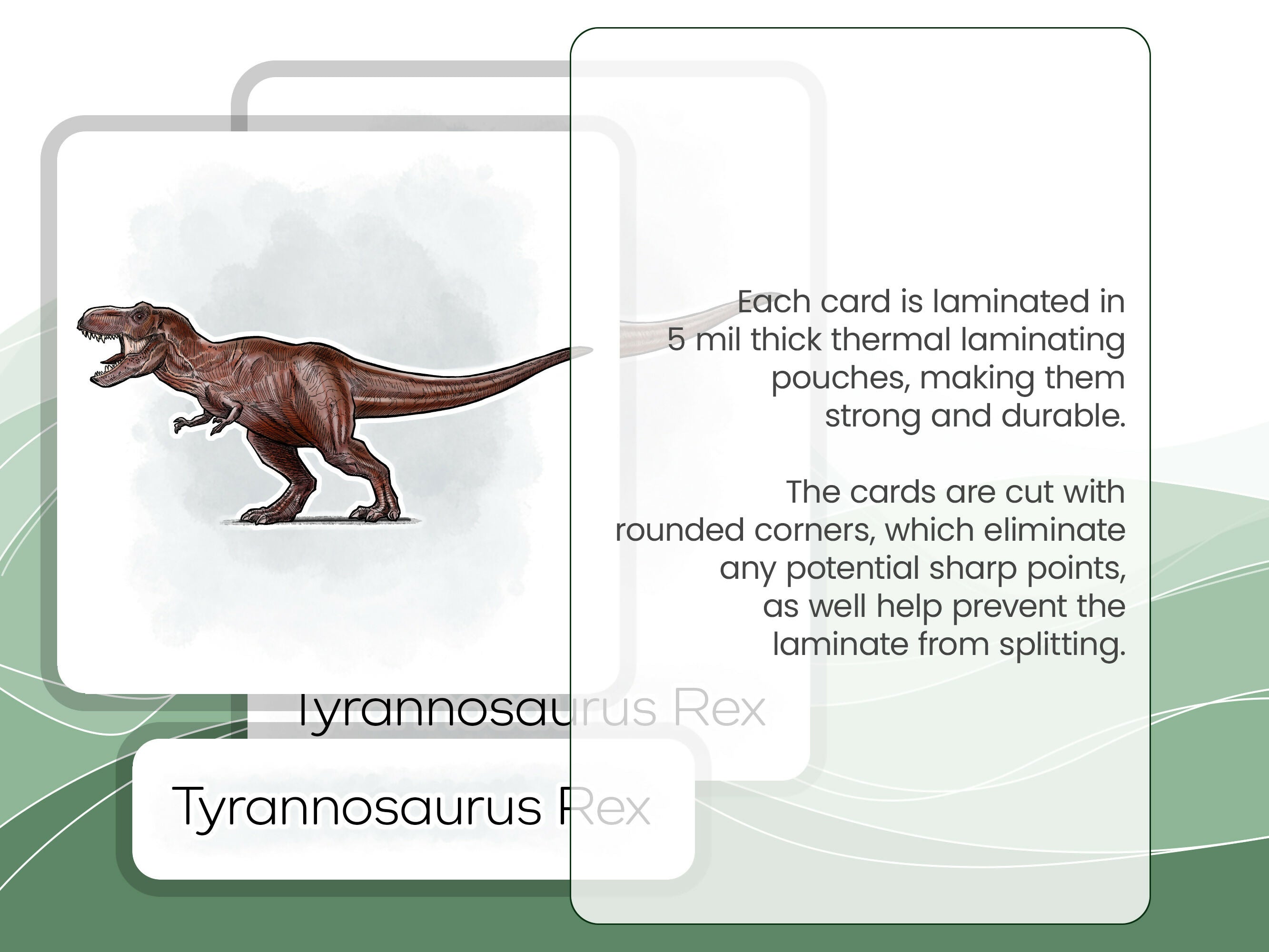 Nomenclature Cards Set - Illustrated Dinosaurs