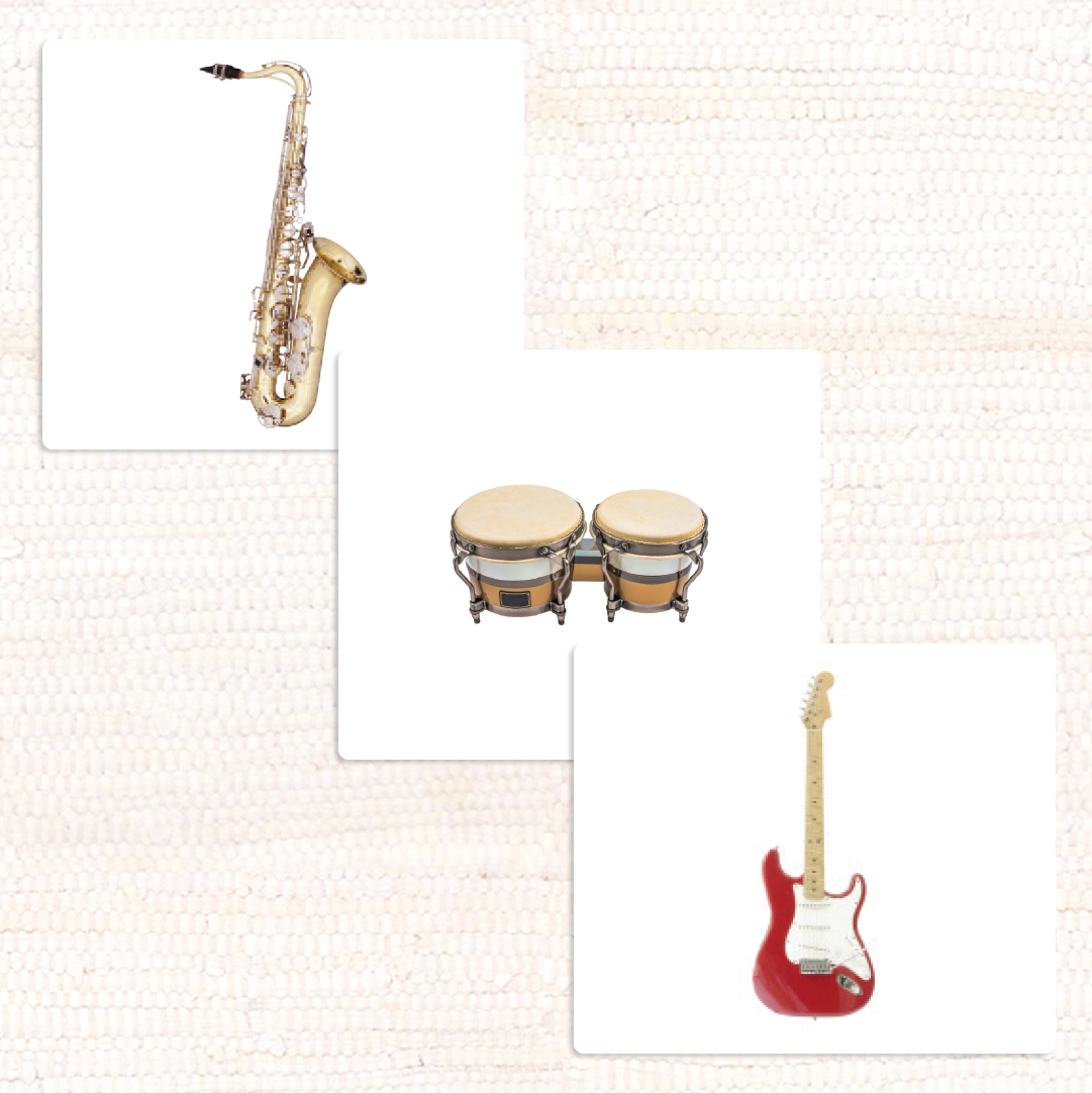 Popular Musical Instruments Vocabulary