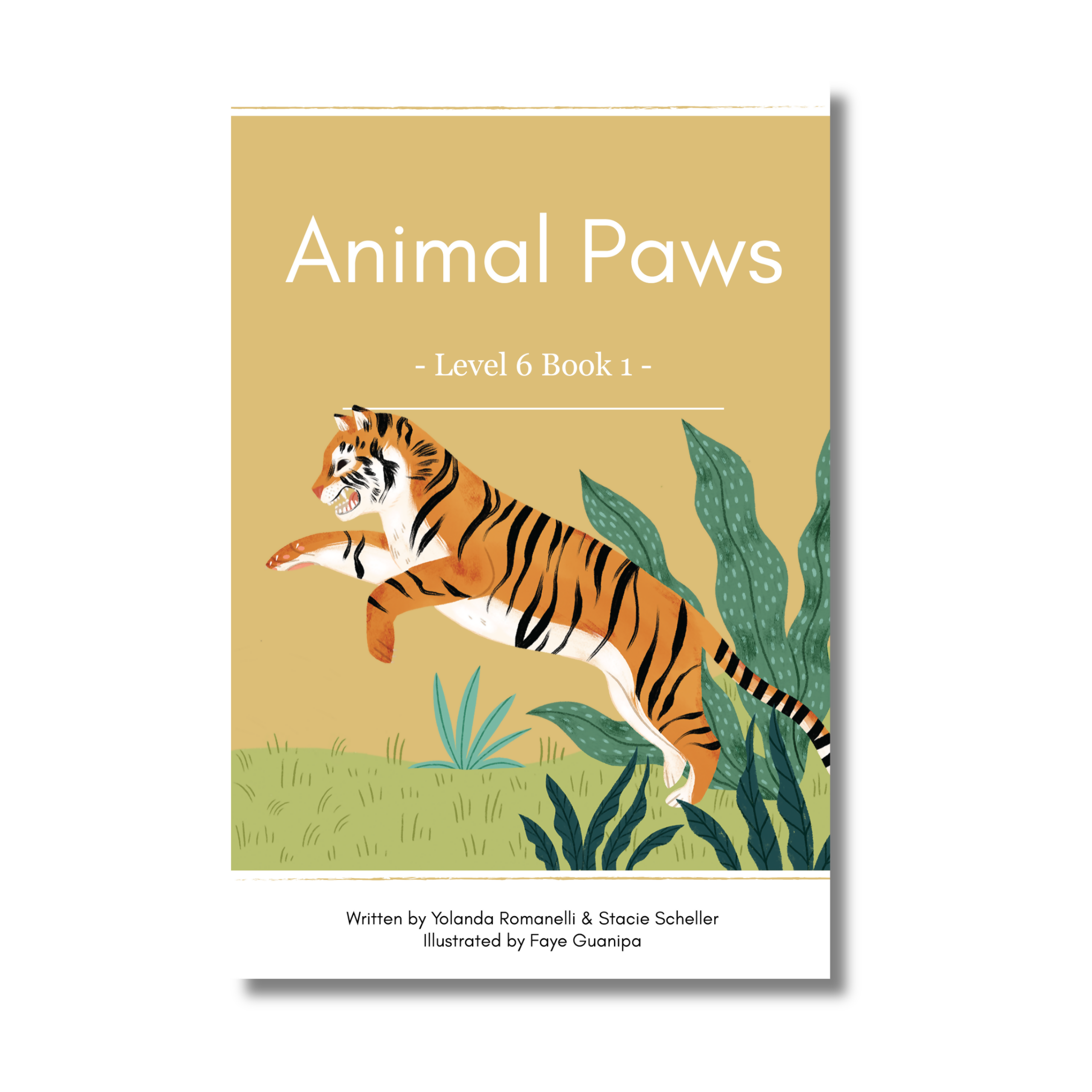 Level 6: Six Decodable Books