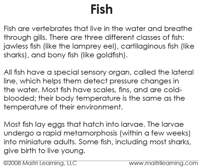 Fish Vocabulary